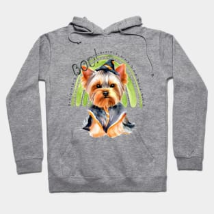 Cute Yorkie Halloween with Green Rainbow Hoodie